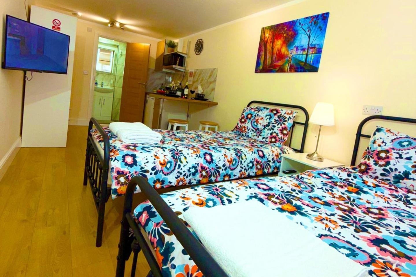 2 Bed Studio-free Parking-pet Friendly-garden Apartament Londra
